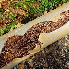 -Main-Line-Clog-Heres-What-You-Need-to-Know- 0