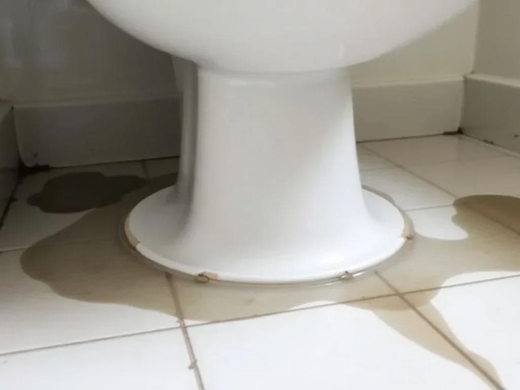 🚽 Water Leaking from the Base of Your Toilet?