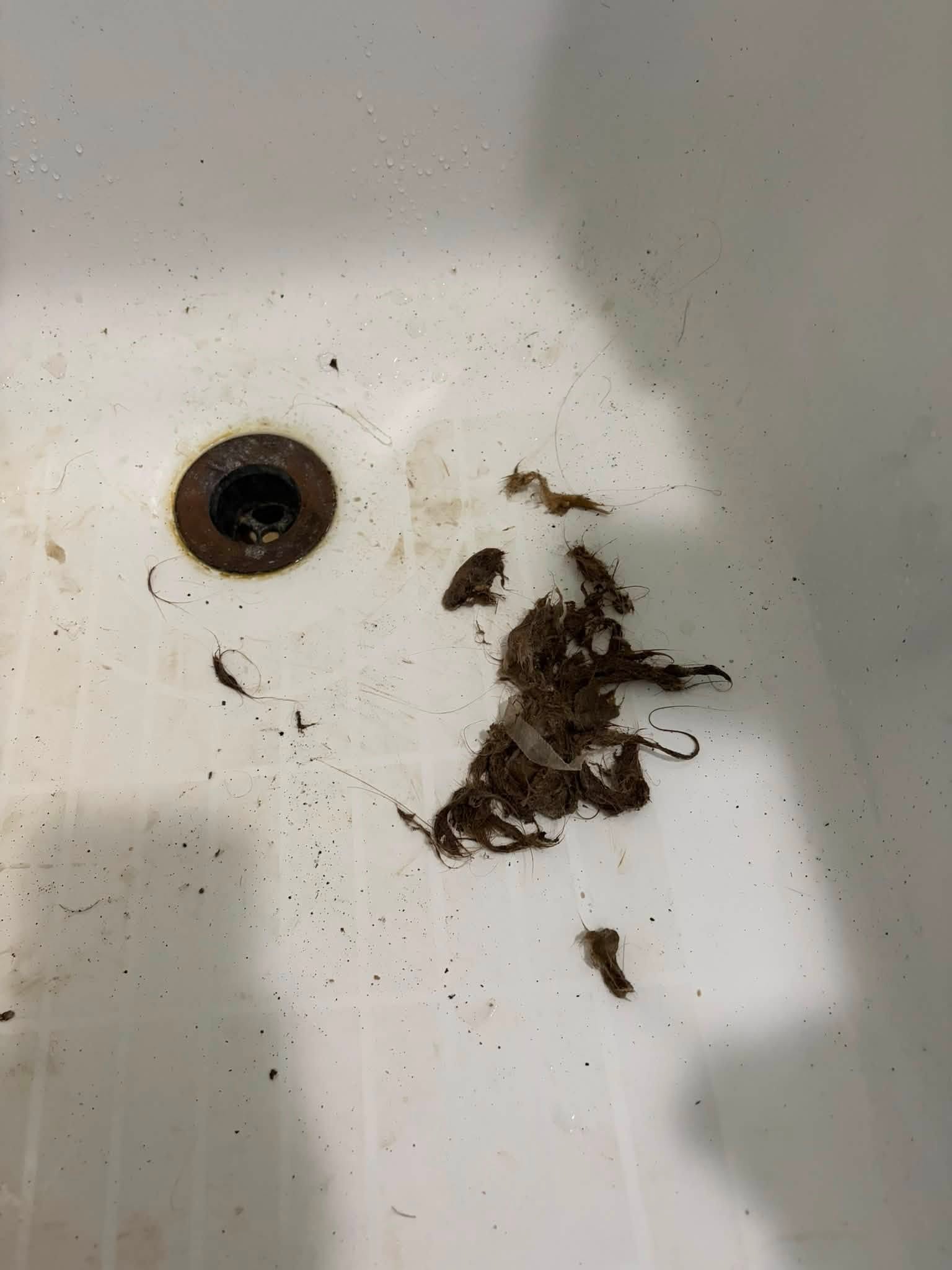 A Hairy Plumbing Problem in Lafayette!