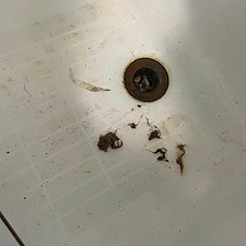 A-Hairy-Plumbing-Problem-in-Lafayette 0