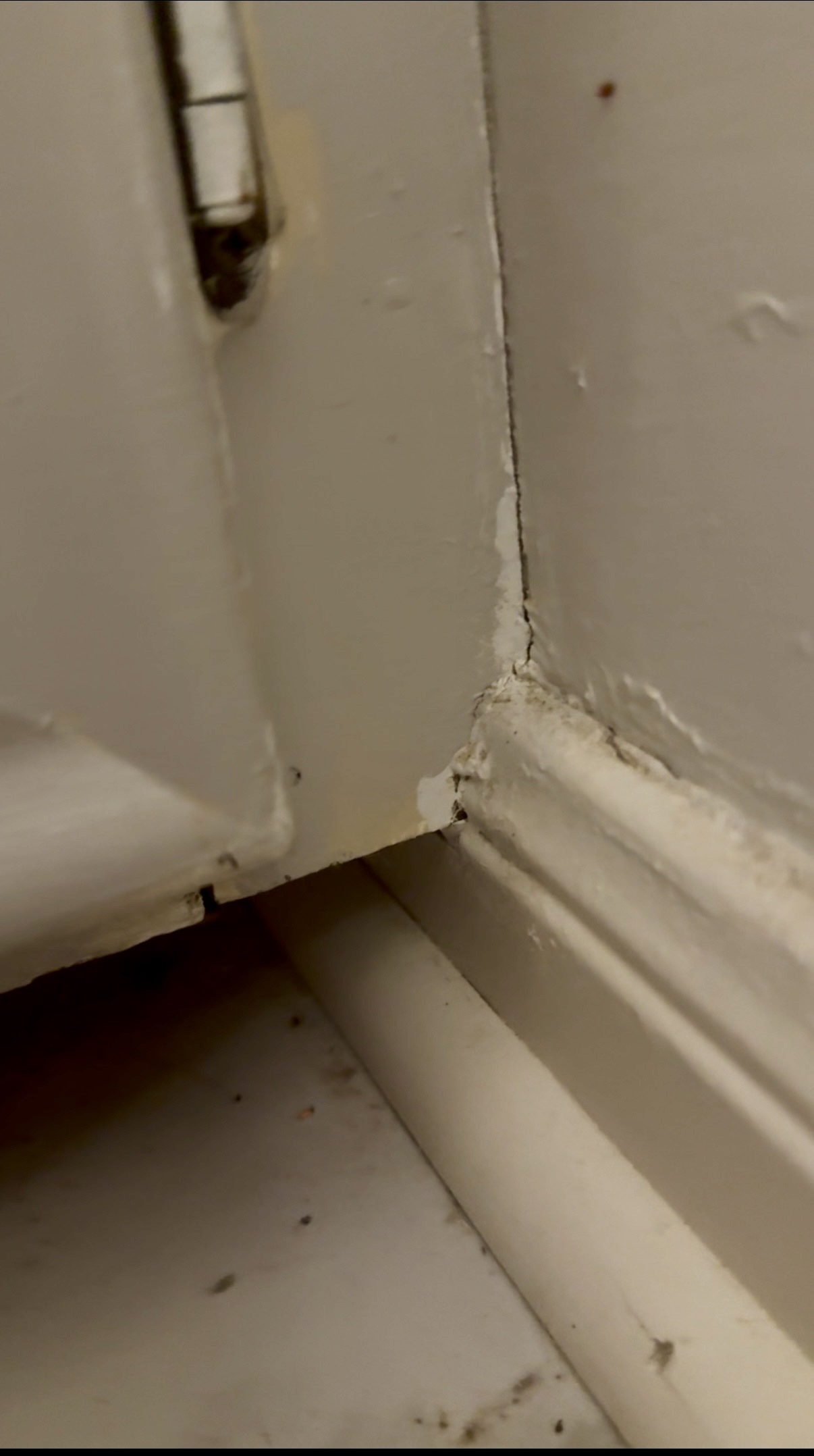 Hidden Water Leak in Wall