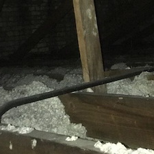 How-to-Prep-for-the-Freeze 0