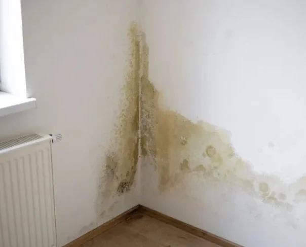 Master Drain & Plumbing’s Tip of the Day 