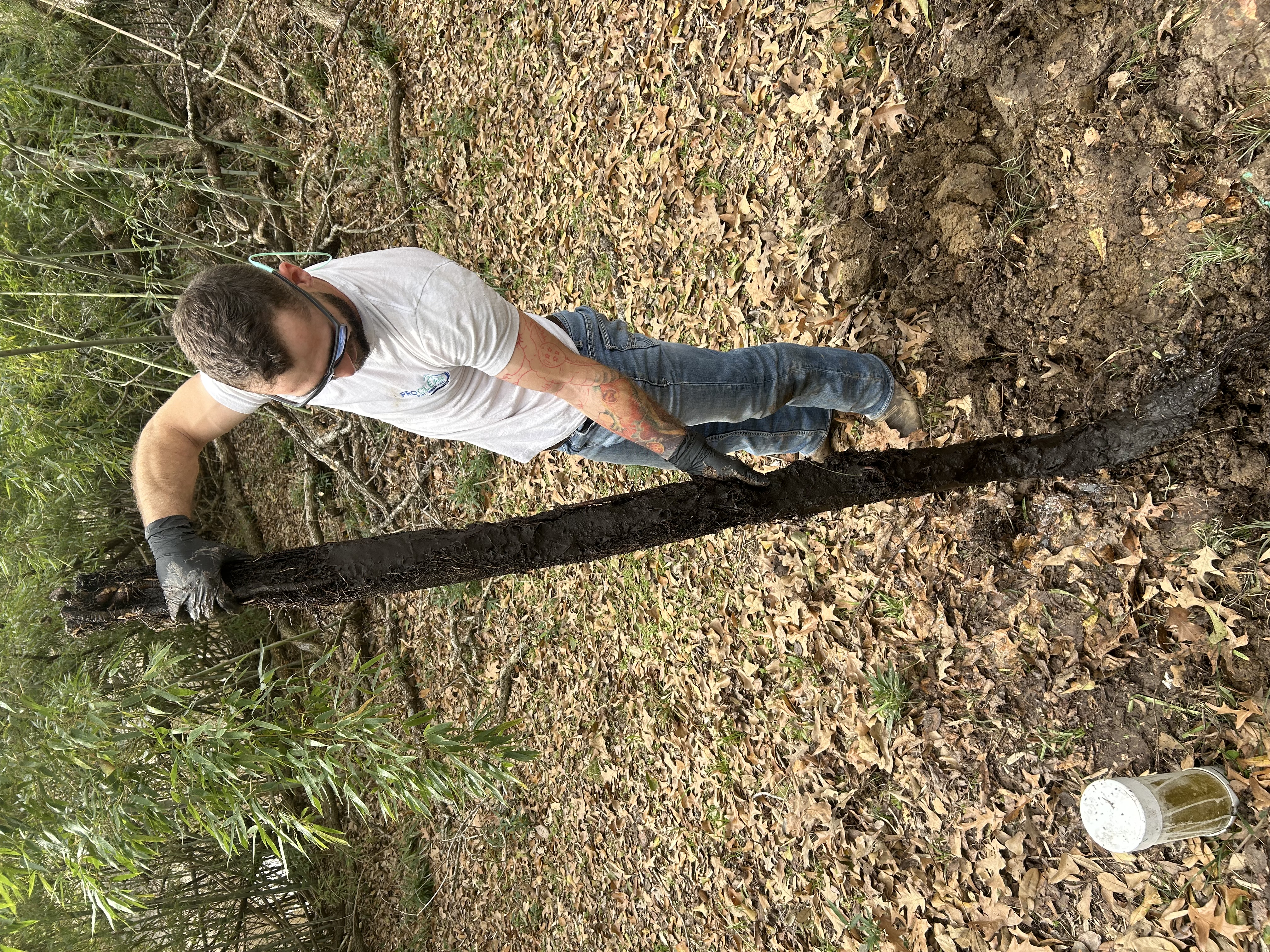 Monster root found in Lafayette 