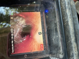 Roots in Sewer Pipe Stop Up Toilet in New Iberia