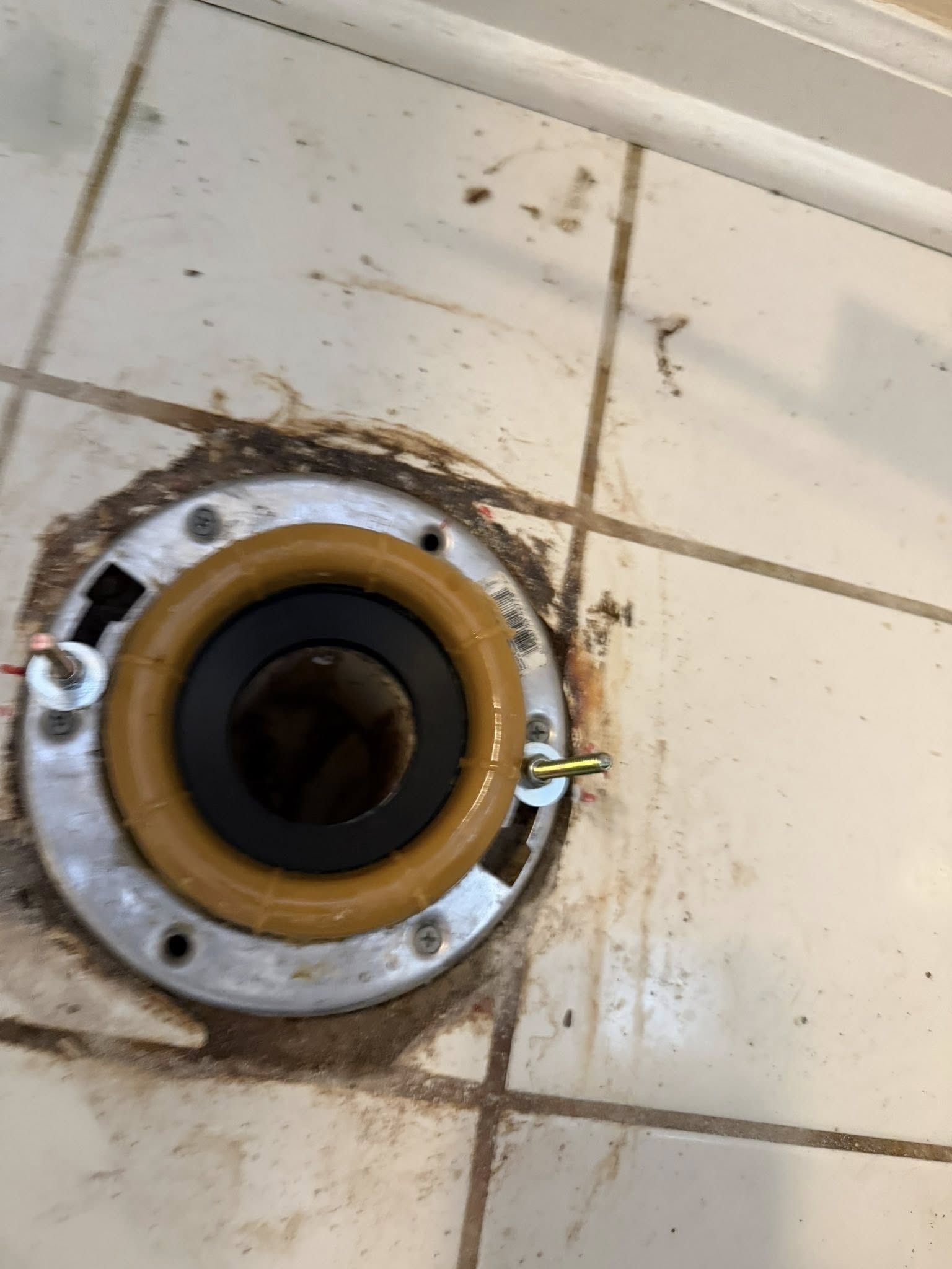 Toilet Flange Replacement in Youngsville, LA