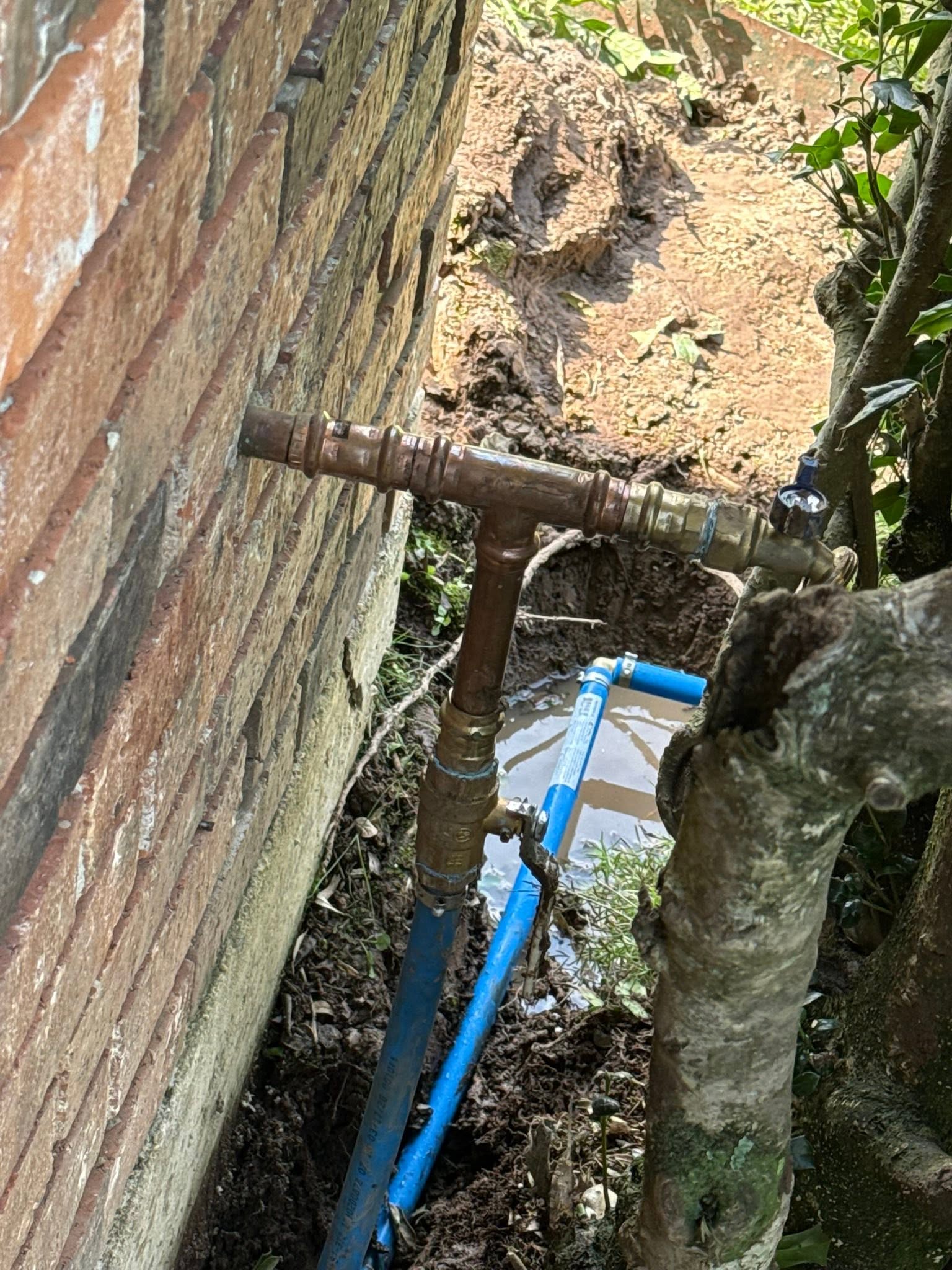 Water Leak Repair in Lafayette, La (1)